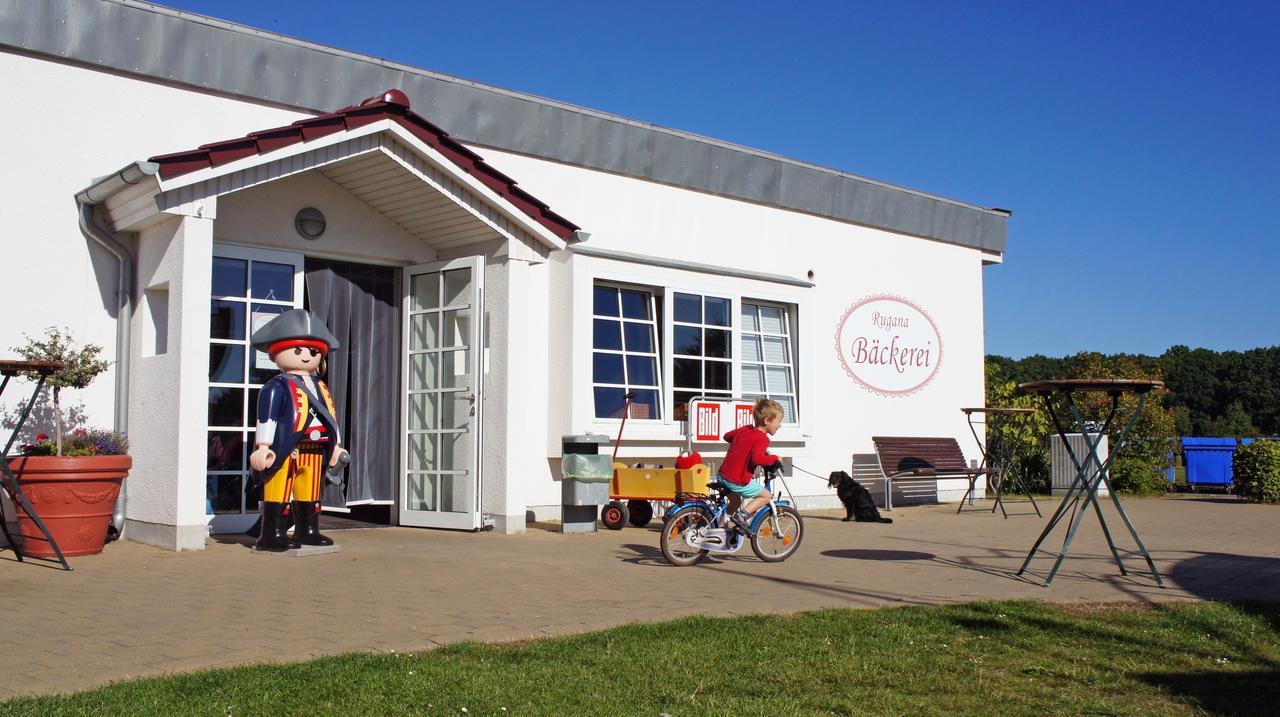 Reetdachhaeuser Am Bakenberg Dranske