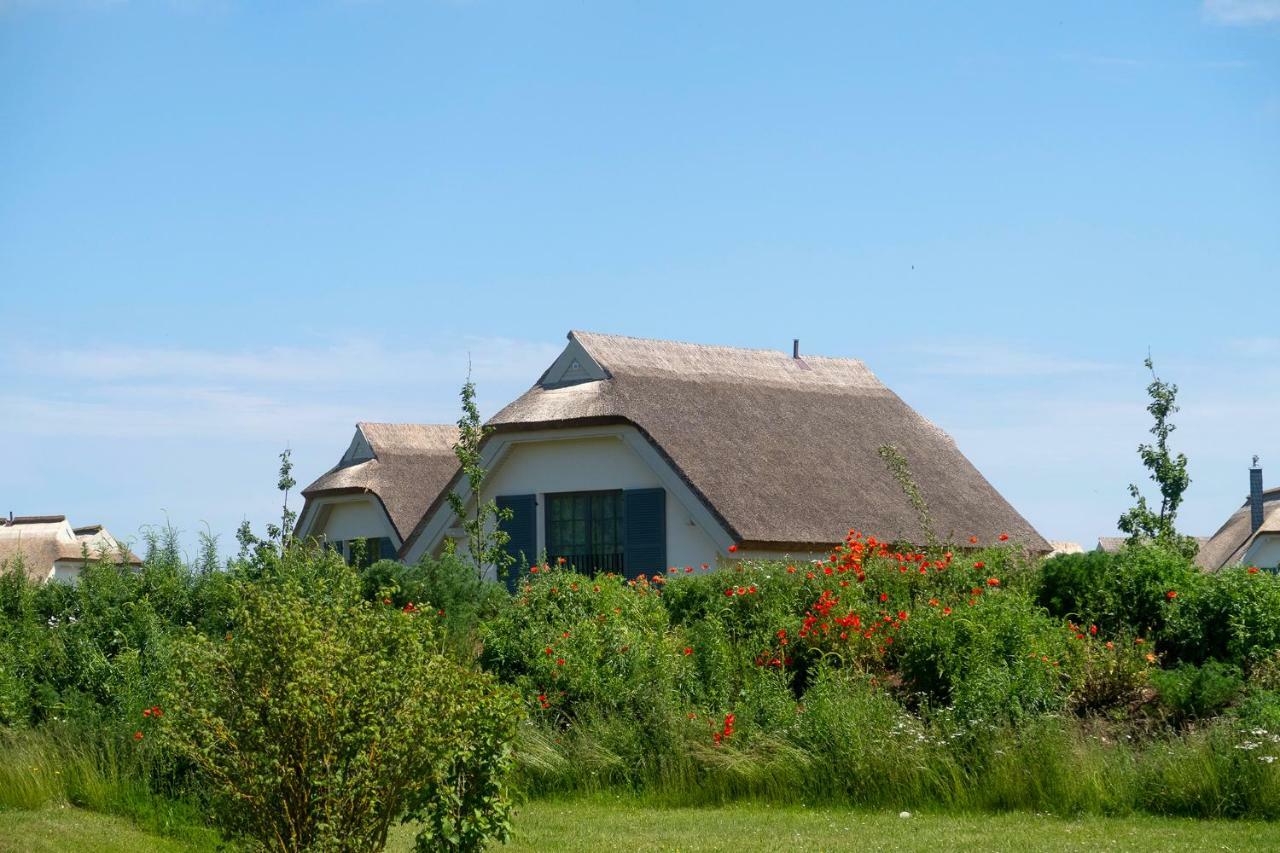 Reetdachhaeuser Am Bakenberg Holiday home Dranske