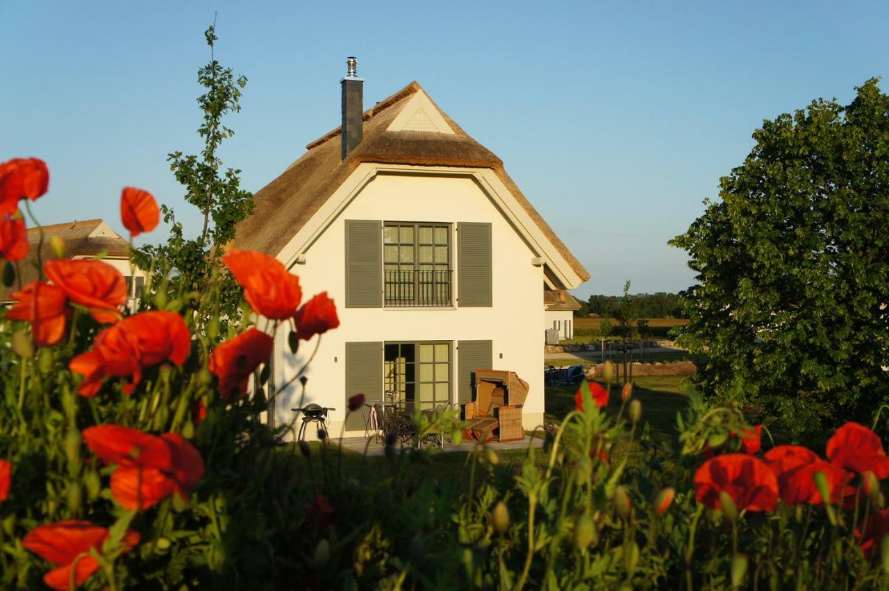 Reetdachhaeuser Am Bakenberg Holiday home