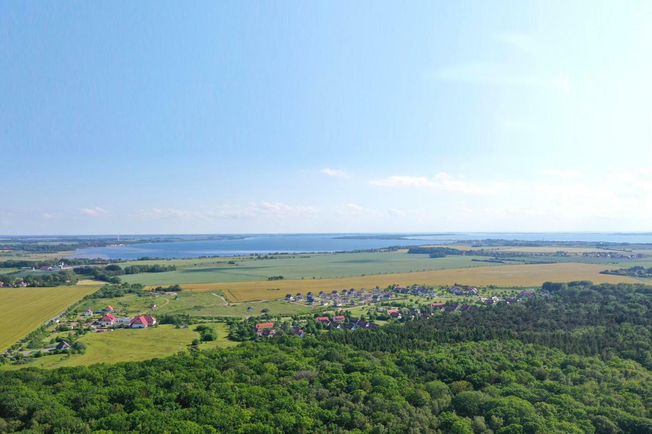Reetdachhaeuser Am Bakenberg Holiday home Dranske